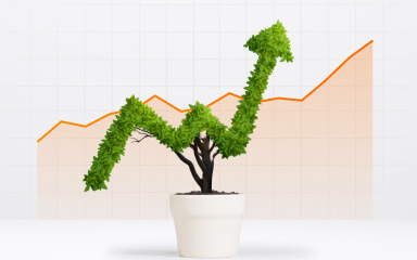 Профит с первой сделки